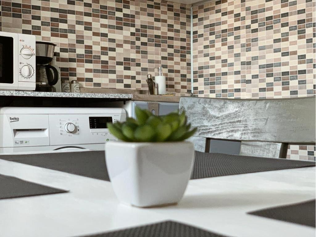 Ultracentral Apt With City Center View - Smart Tv - Ac Temešvár Exteriér fotografie
