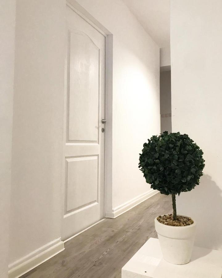 Ultracentral Apt With City Center View - Smart Tv - Ac Temešvár Exteriér fotografie